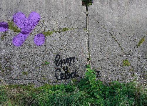 +79520557718 звонок из Яма