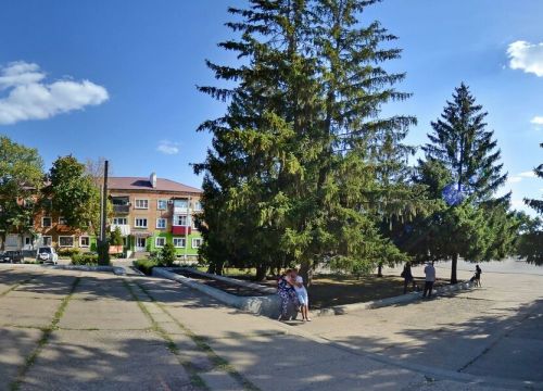 +79521033838 звонок из ПП Королевские топиари