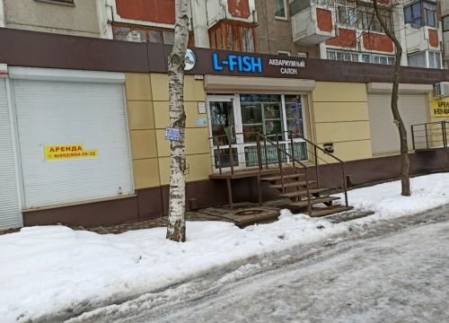 +79521034927 звонок из L-Fish