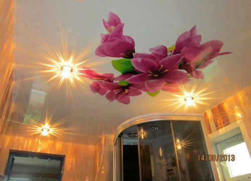 +79521123302 звонок из Мастер класс