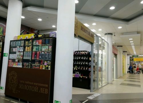 +79522564115 звонок из Золотой Лев