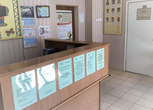 +79523933860 звонок из Альтернатива