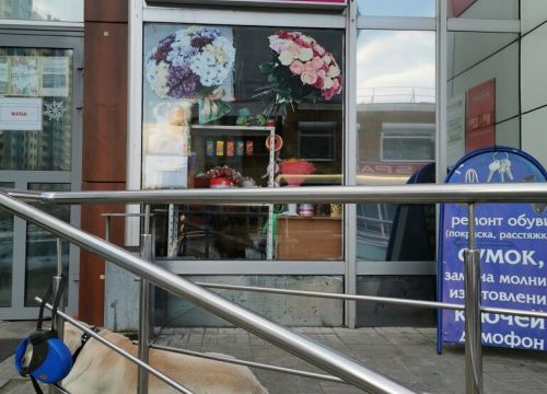 +79524743585 звонок из Белая роза