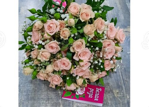 +79524743585 звонок из Белая роза