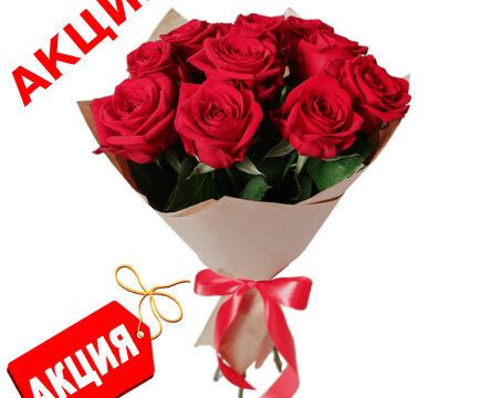 +79526828628 звонок из Цветочный Город
