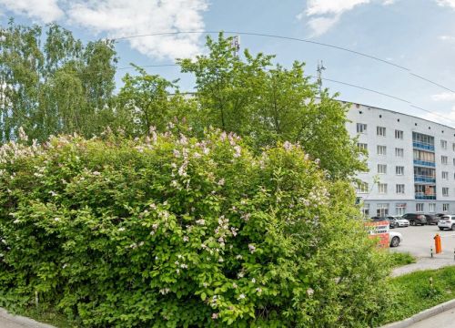 +79527303029 звонок из ГеоМаркИнжиниринг