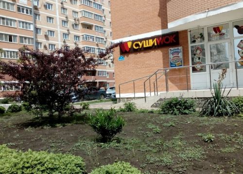 +79528709394 звонок из Суши Wok