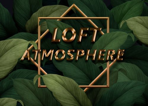 +79528770016 звонок из Лофт Атмосфера