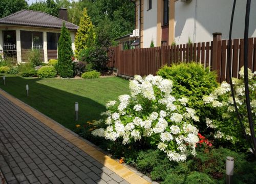 +79529560484 звонок из Флоридея