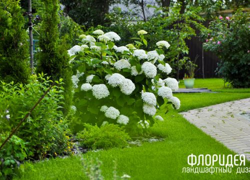 +79529560484 звонок из Флоридея