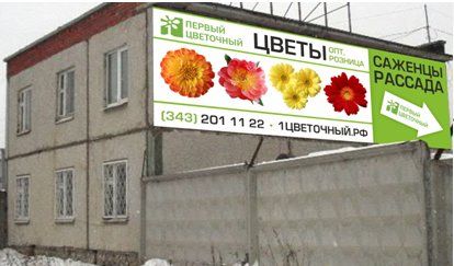 +79530030796 звонок из Первый цветочный