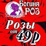 +79532077444 звонок из Богиня Роз