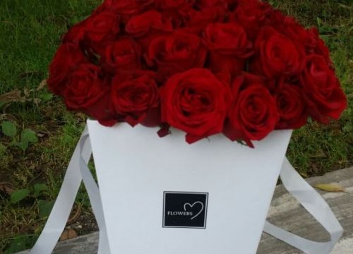 +79532077444 звонок из Богиня Роз