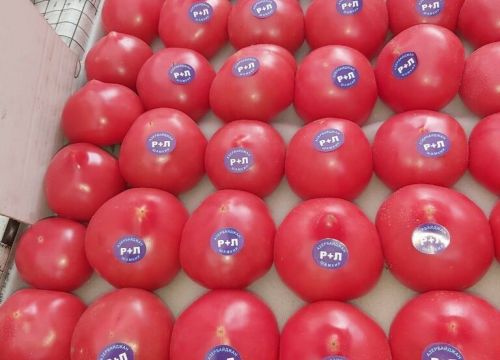 +79532851977 звонок из Фруктовый рай