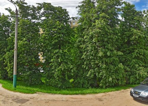+79534133030 звонок из Сушитория
