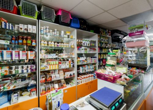 +79535591128 звонок из Доктор Zoo НН