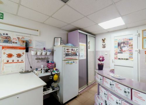 +79535591128 звонок из Доктор Zoo НН