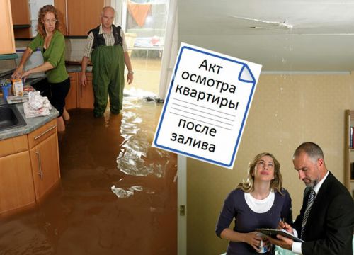 +79537533000 звонок из Оценка залития квартир