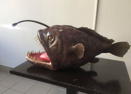 +79600442277 звонок из 3D Эволюция