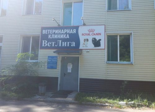 +79601300440 звонок из ВетЛига