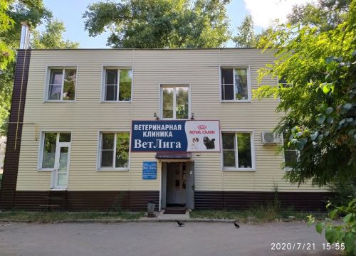 +79601300440 звонок из ВетЛига