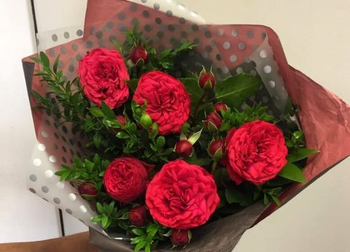 +79601579043 звонок из Зеленая-лавка