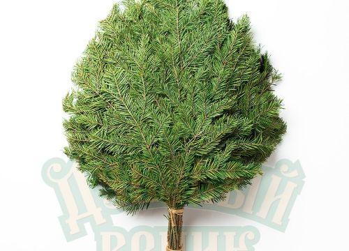 +79601681150 звонок из Дубовый веник