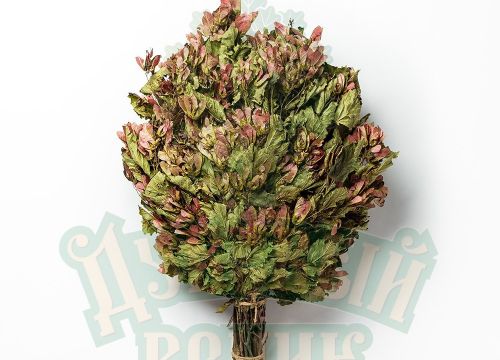 +79601681150 звонок из Дубовый веник