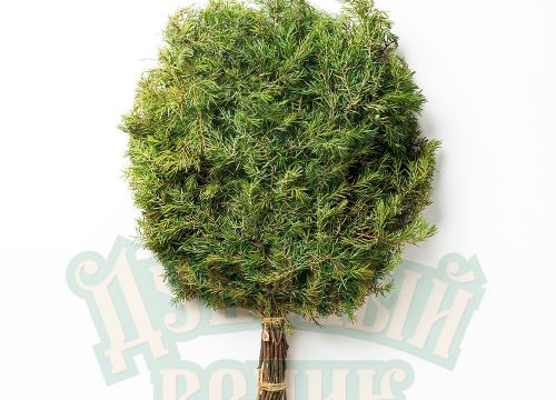 +79601681150 звонок из Дубовый веник