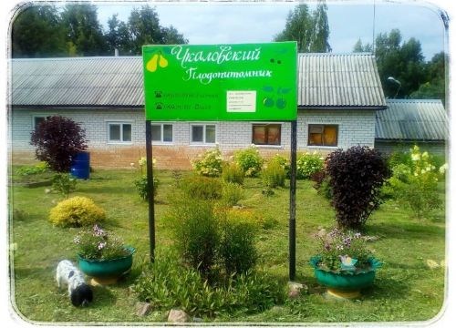+79601850966 звонок из Чкаловский плодопитомник