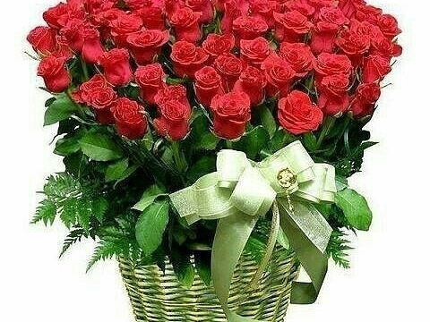 +79603542755 звонок из Цветы от Елены