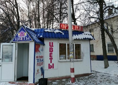 +79603691347 звонок из Орхидея