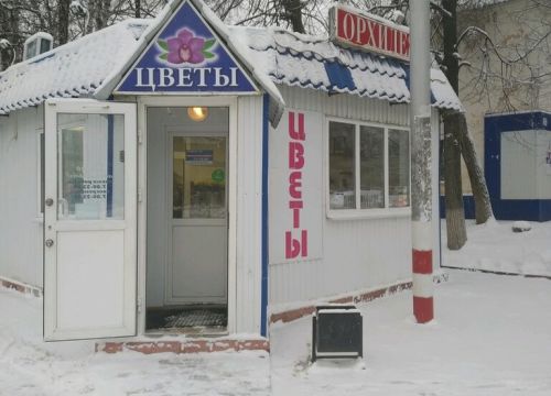 +79603691347 звонок из Орхидея