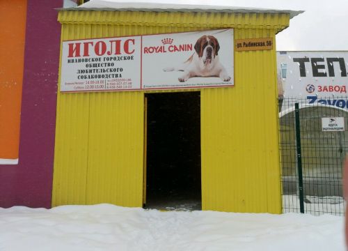 +79605070750 звонок из Ивановское городское общество любителей собаководства