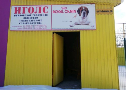 +79605070750 звонок из Ивановское городское общество любителей собаководства