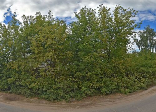 +79605671745 звонок из Перевлес