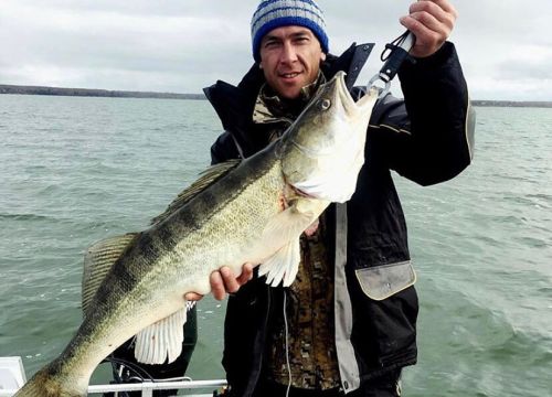 +79605821388 звонок из Алиса