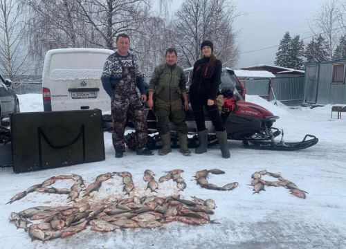 +79605821388 звонок из Алиса