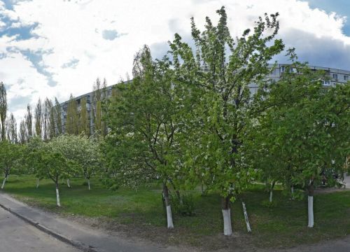 +79606280737 звонок из Самоделкин