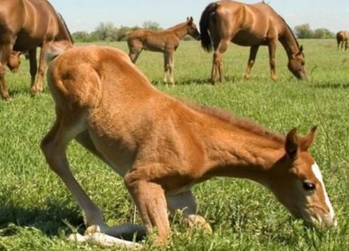 +79608570888 звонок из База отдыха Митричево