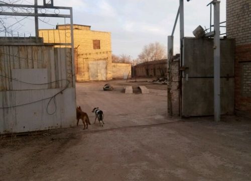 +79610571215 звонок из ВолгоДон Строй Инвест