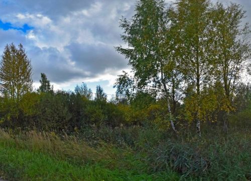 +79611601792 звонок из Медведев и К