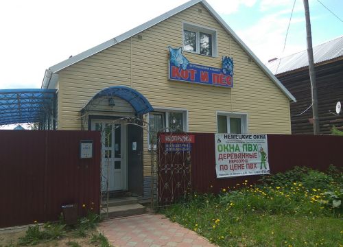 +79612471812 звонок из Кот и пёс