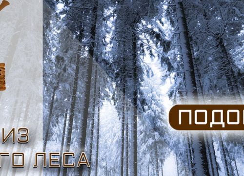 +79613554443 звонок из Лесорубоф