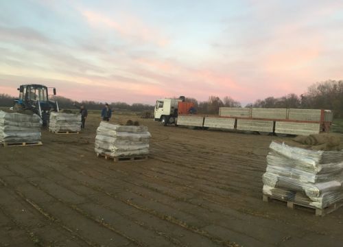 +79615022229 звонок из Максигарден