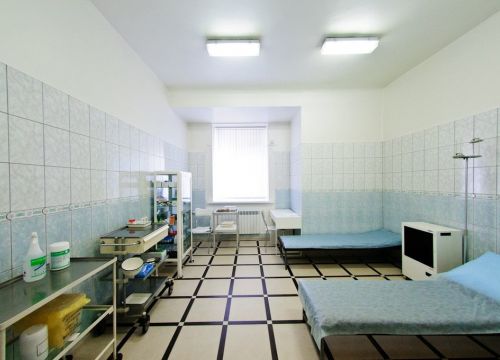 +79618098961 звонок из Диана