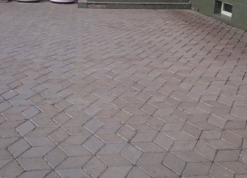 +79619292758 звонок из Foresta