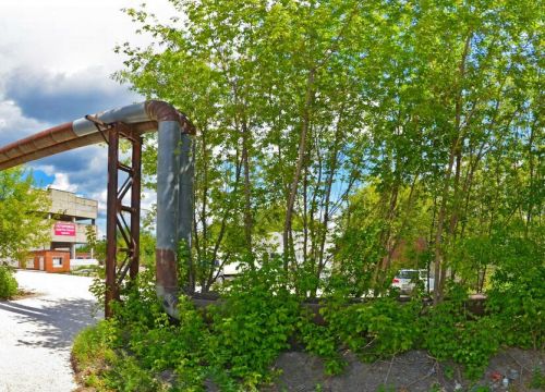 +79620945083 звонок из Vetro