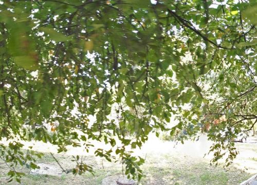 +79621513826 звонок из Инженерно-проектное Бюро