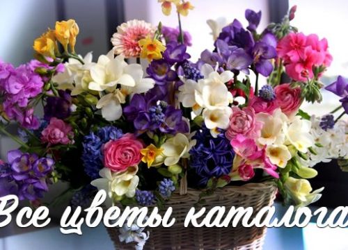 +79623600028 звонок из Le Fleur